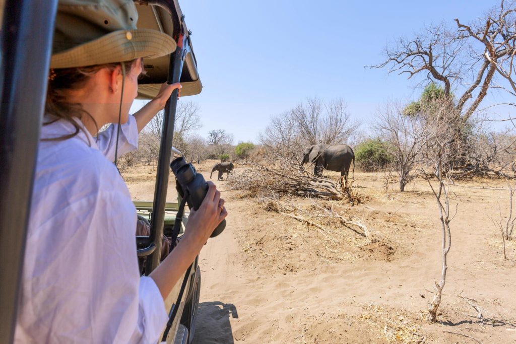 Why Tanzania Is Africa’s Ultimate Safari Destination
