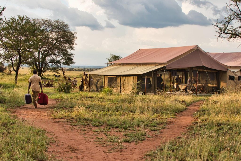 Luxury vs Budget Safari in Tanzania — Which Is Right for You?