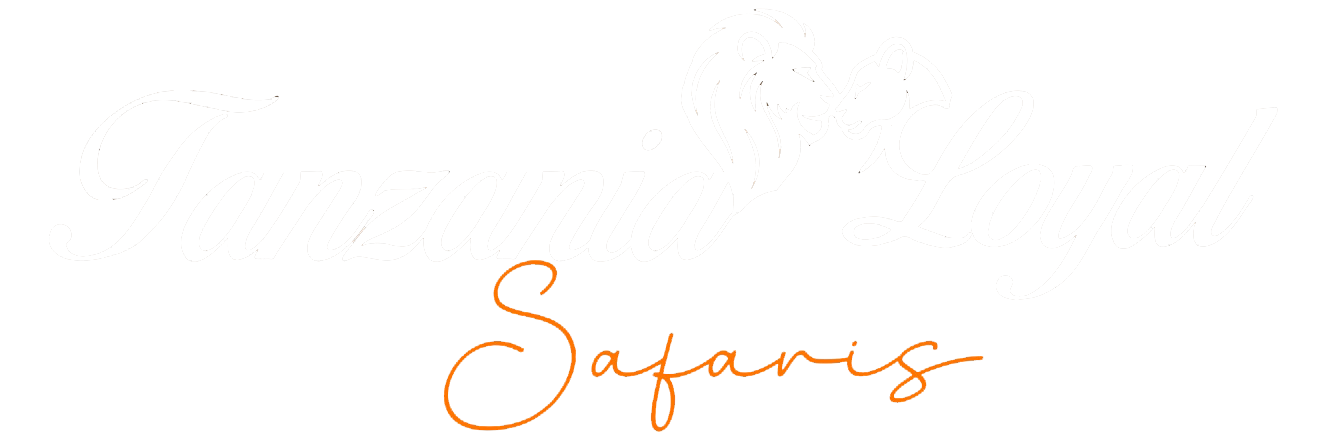 Tanzania Loyal safaris 3